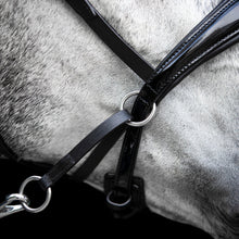 Load image into Gallery viewer, FR Equestrian Bitless Multi-Bridle
