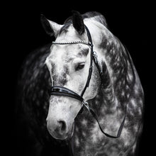 Load image into Gallery viewer, FR Equestrian Bitless Multi-Bridle
