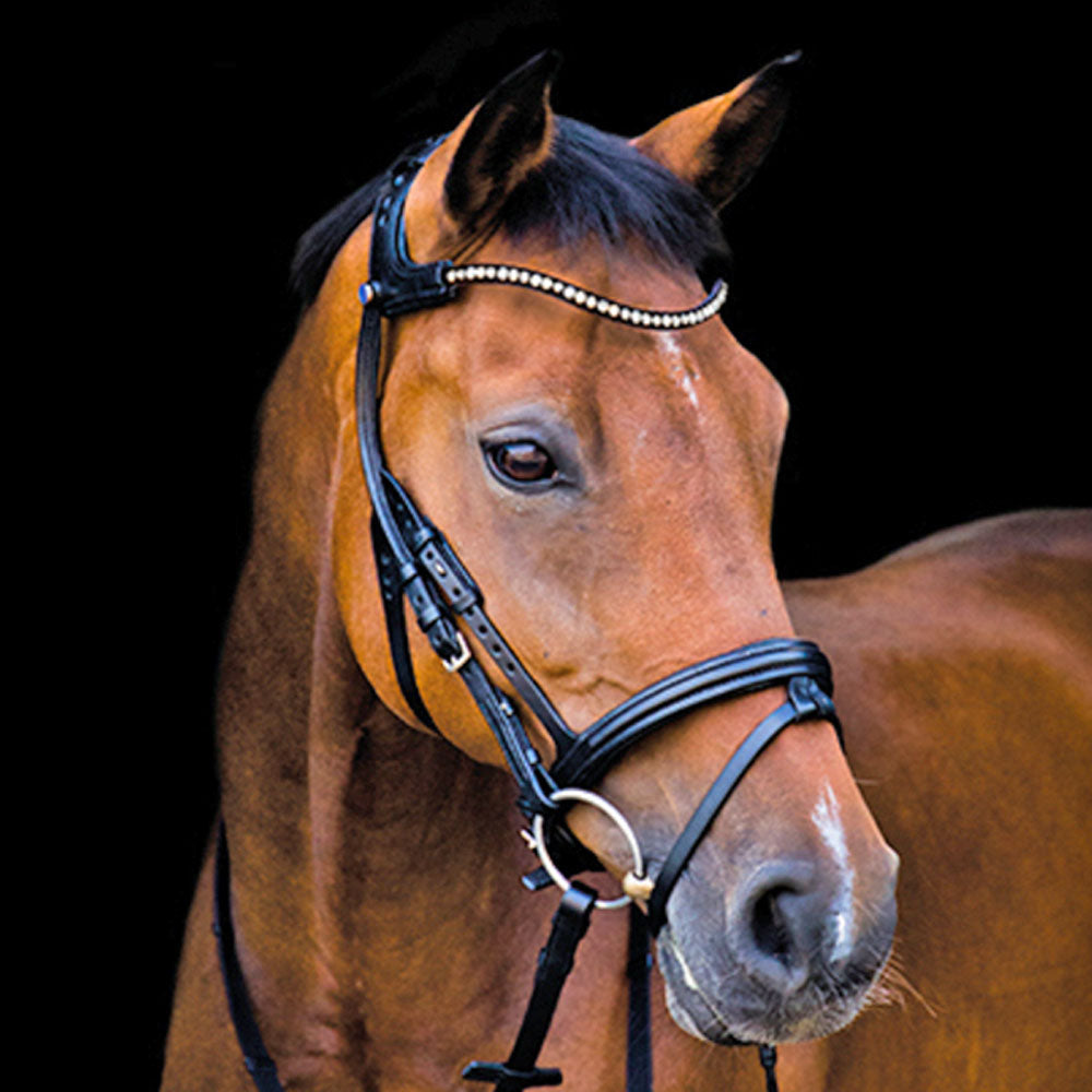 Stubben Freedom Bridle with Magic Tack Browband