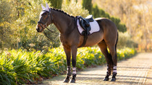 Load image into Gallery viewer, LeMieux Suede GP Lilac Saddle Pad
