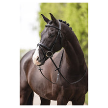Load image into Gallery viewer, Anky Dressage Bridle
