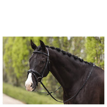 Load image into Gallery viewer, Anky Dressage Bridle
