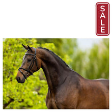 Load image into Gallery viewer, BR Bedford English Bridle-English Bridle-Bieman De Haas-Full-Oak-Evolution Equestrian Co.
