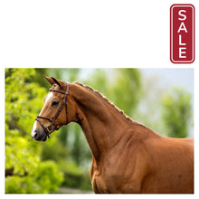 Load image into Gallery viewer, BR Bedford English Bridle-English Bridle-Bieman De Haas-Full-Oak-Evolution Equestrian Co.
