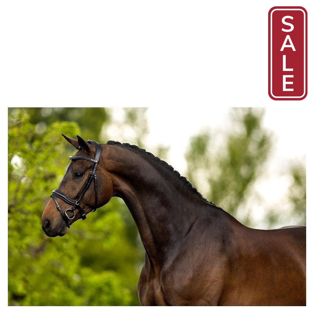 BR Luton Bridle-English Tack-Bieman De Haas-Black/Silver-Cob-Evolution Equestrian Co.