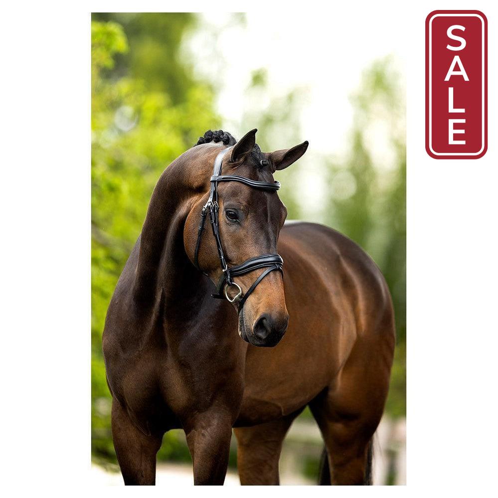 BR Luton Bridle-English Tack-Bieman De Haas-Black/Silver-Cob-Evolution Equestrian Co.