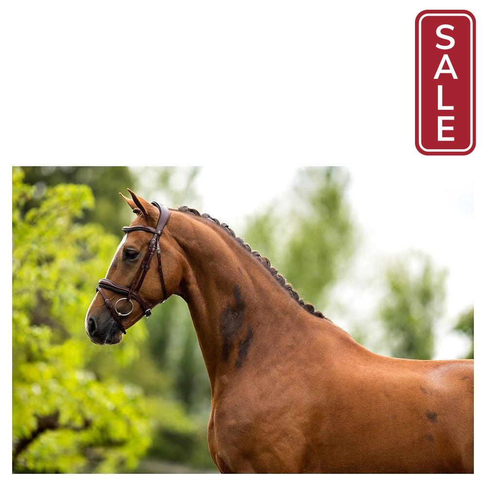 BR Luton Bridle-English Tack-Bieman De Haas-Black/Silver-Cob-Evolution Equestrian Co.