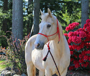Burwash Rope Halter Vancouver Island Tack Store