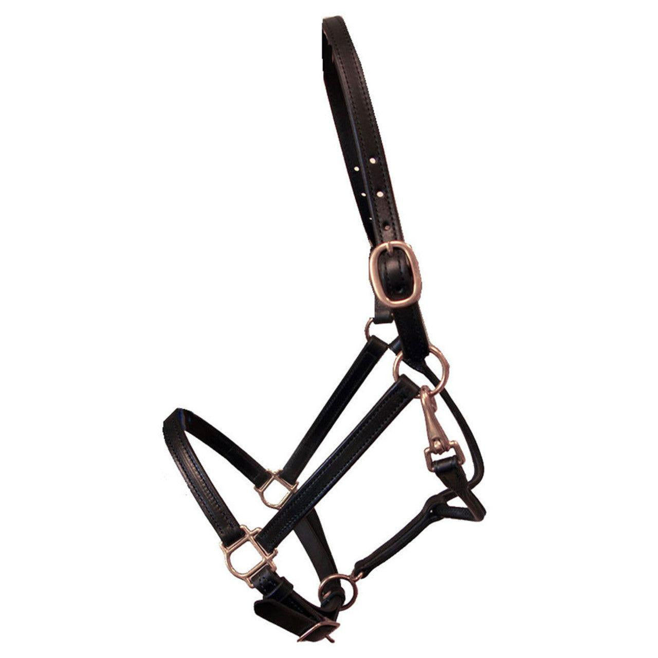 Deluxe 3/4" Double Stitched Leather Halters-Horse Halters-Can Pro Equestrian Supply-Cob-Havana-Evolution Equestrian Co.