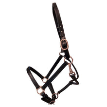 Load image into Gallery viewer, Deluxe 3/4&quot; Double Stitched Leather Halters
