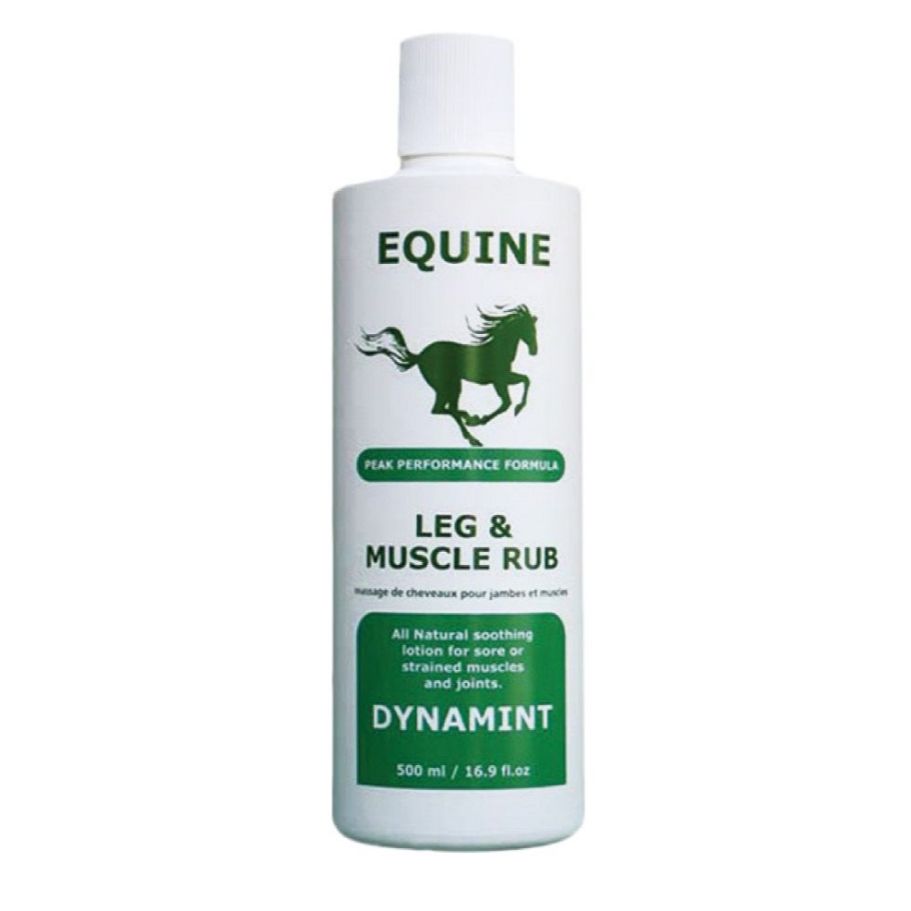 Dynamint Muscle Rub Liniment Sore Muscles Horse Rider Human 