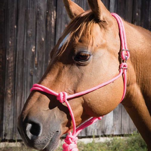 Effortless Rope Halter with Lead