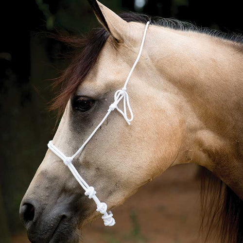 Francois Gauthier White Rope Noseband-Western Tack-Paratrade-Evolution Equestrian Co.
