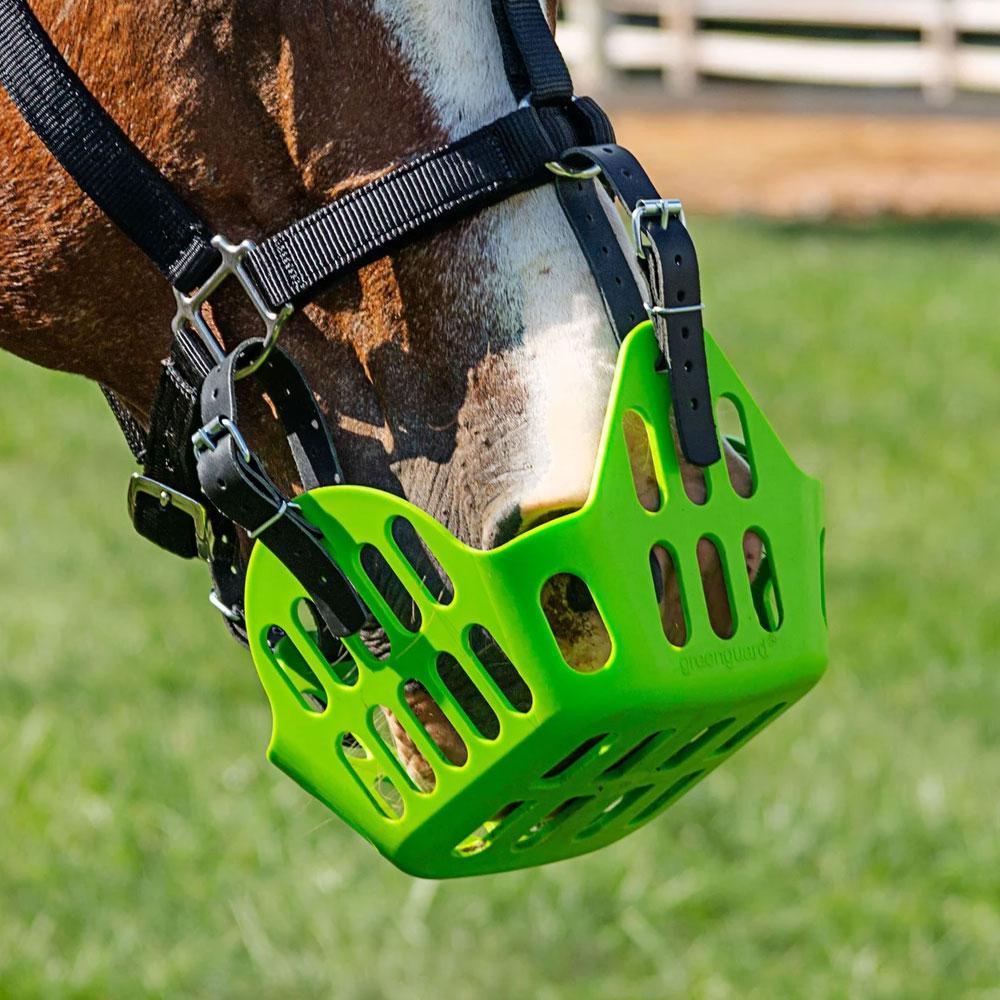 Green Guard Grazing Muzzle-Horse Care-Can Pro Equestrian Supply-Mini-Black-Evolution Equestrian Co.