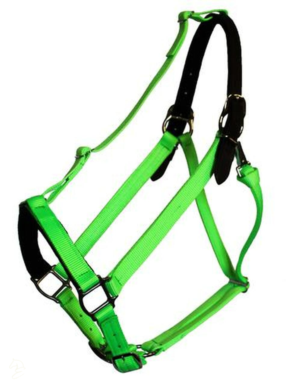 Green Guard Halter-Horse Halters-Can Pro Equestrian Supply-Mini-Black-Evolution Equestrian Co.