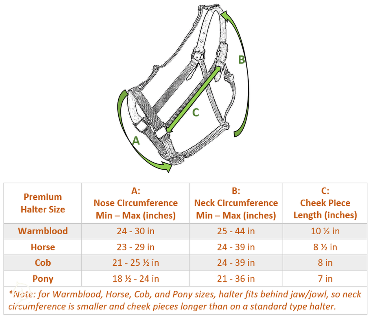 Green Guard Halter-Horse Halters-Can Pro Equestrian Supply-Mini-Black-Evolution Equestrian Co.