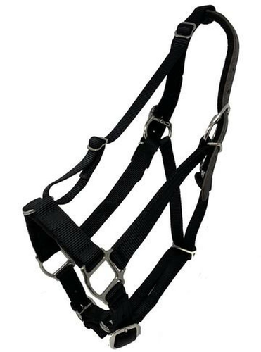 Green Guard Halter-Horse Halters-Can Pro Equestrian Supply-Mini-Black-Evolution Equestrian Co.