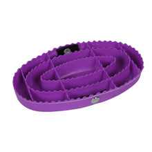 Load image into Gallery viewer, Haas Children&#39;s Curry Comb-Pet Grooming Supplies-Premier Equestrian Products-Evolution Equestrian Co.
