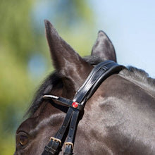 Load image into Gallery viewer, Kieffer Catalina Snaffle Bridles
