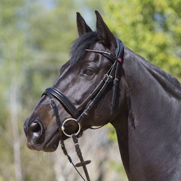 Kieffer Catalina Snaffle Bridles
