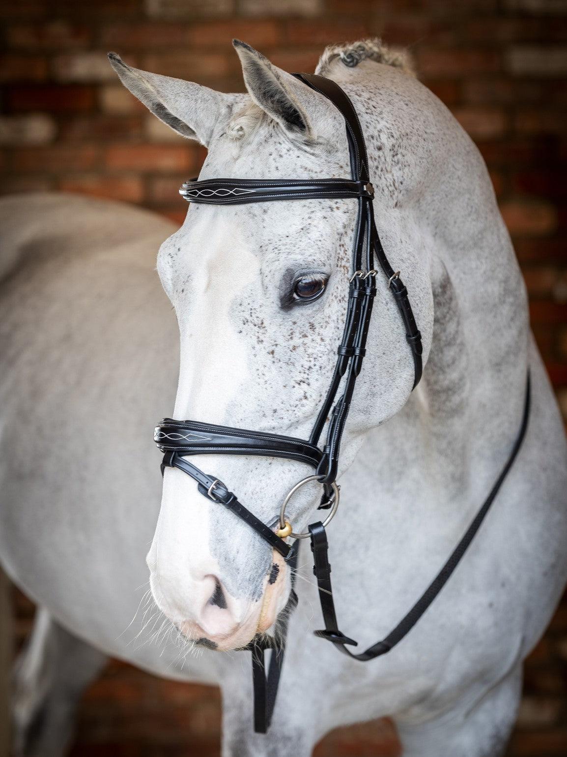 LeMieux Kudos Competition Flash English Bridle-Bridles-LeMieux-Pony-Havana-Evolution Equestrian Co.