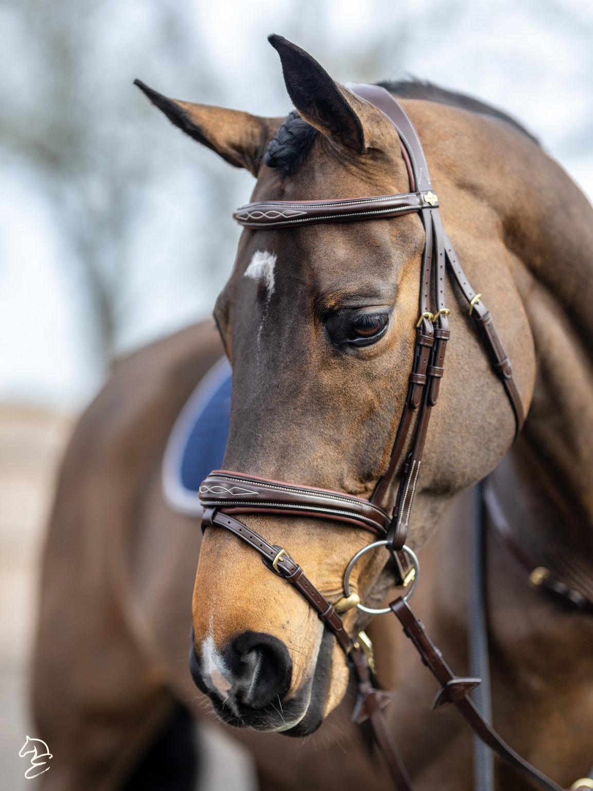 LeMieux Kudos Competition Flash English Bridle-Bridles-LeMieux-Pony-Havana-Evolution Equestrian Co.