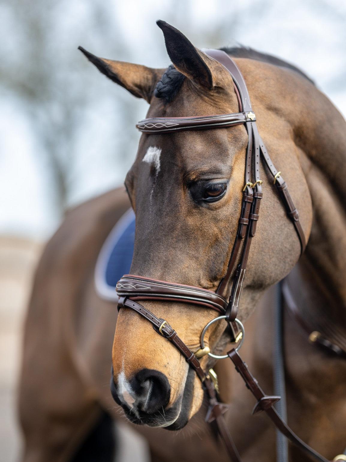 LeMieux Kudos Competition Flash English Bridle-Bridles-LeMieux-Pony-Havana-Evolution Equestrian Co.