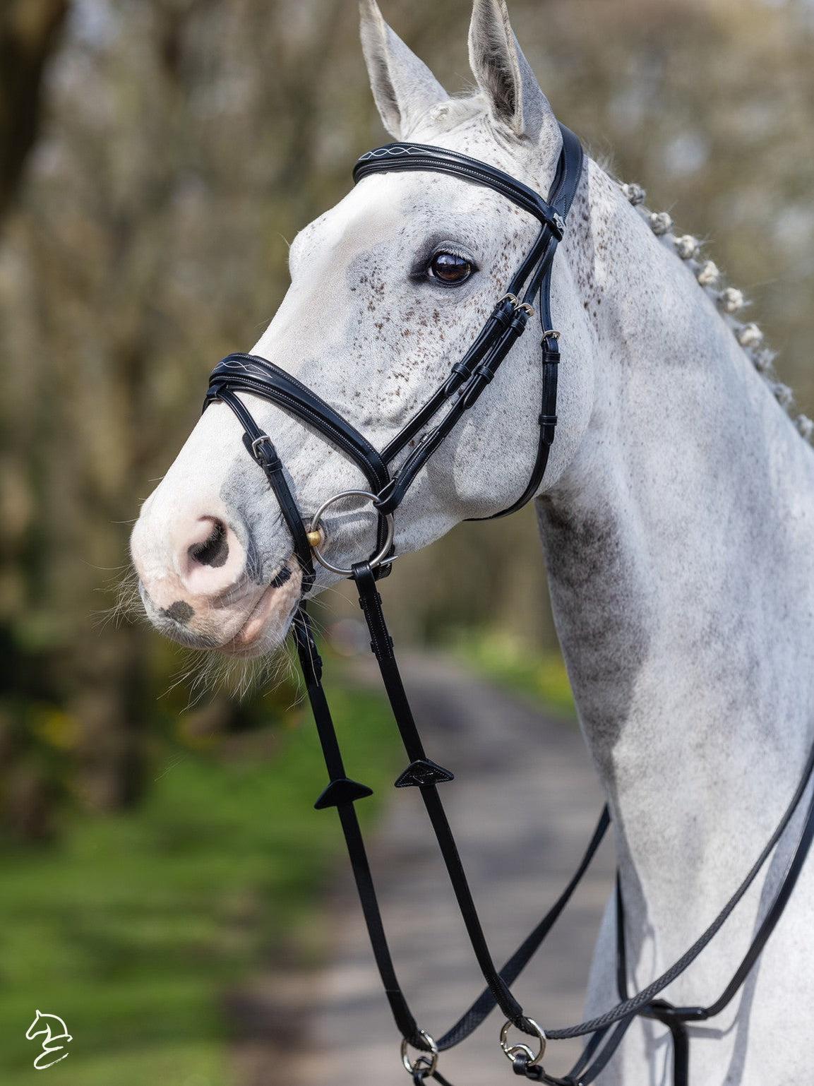 LeMieux Kudos Competition Flash English Bridle-Bridles-LeMieux-Pony-Havana-Evolution Equestrian Co.