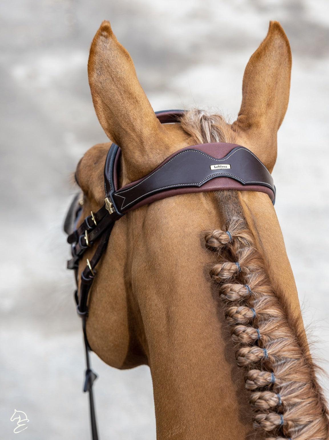 LeMieux Kudos Competition Flash English Bridle-Bridles-LeMieux-Pony-Havana-Evolution Equestrian Co.