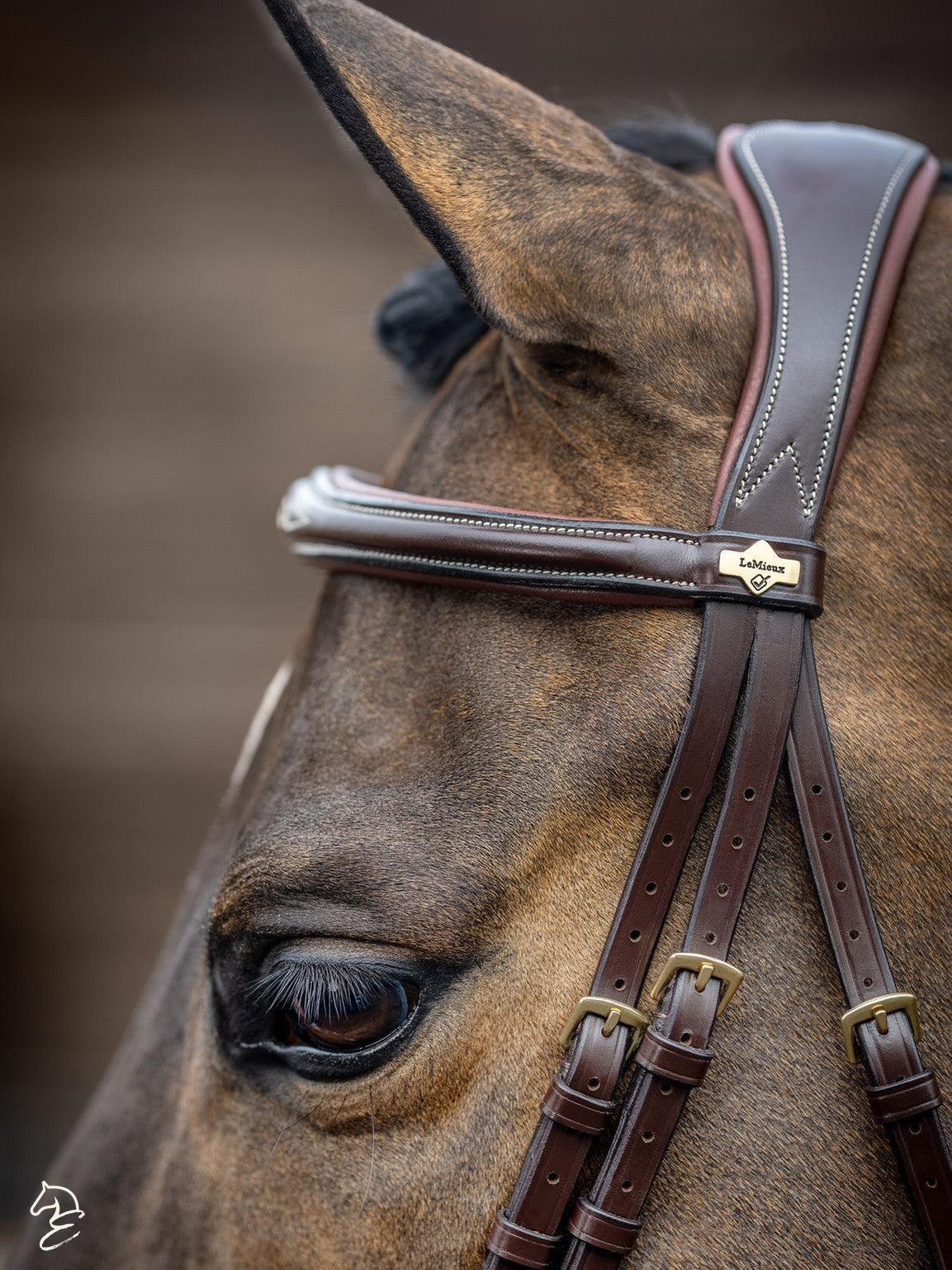 LeMieux Kudos Competition Flash English Bridle-Bridles-LeMieux-Pony-Havana-Evolution Equestrian Co.