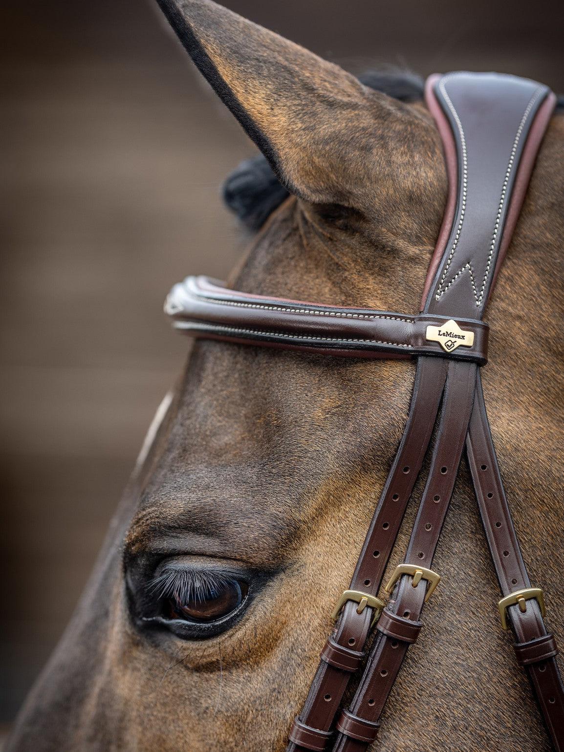 LeMieux Kudos Competition Flash English Bridle-Bridles-LeMieux-Pony-Havana-Evolution Equestrian Co.