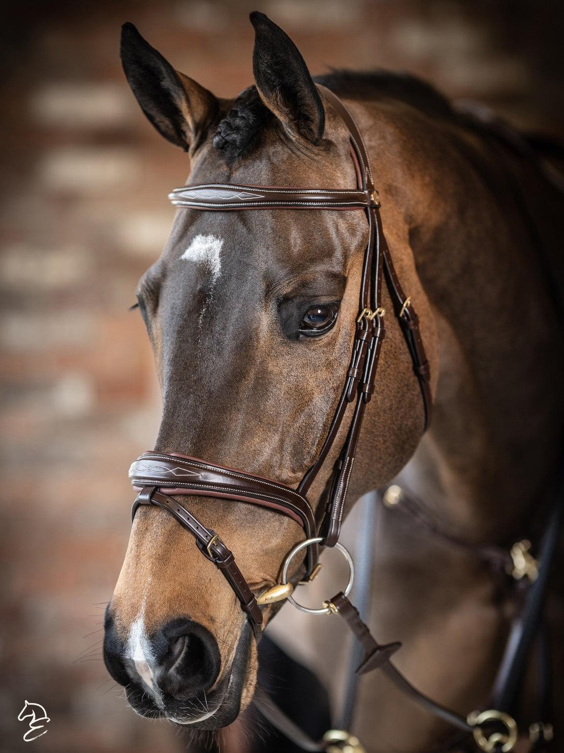 LeMieux Kudos Competition Flash English Bridle-Bridles-LeMieux-Pony-Havana-Evolution Equestrian Co.