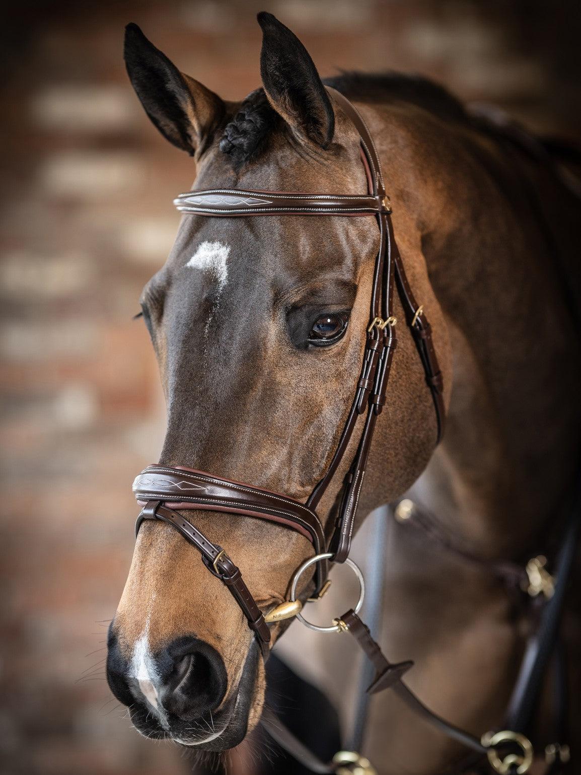 LeMieux Kudos Competition Flash English Bridle-Bridles-LeMieux-Pony-Havana-Evolution Equestrian Co.