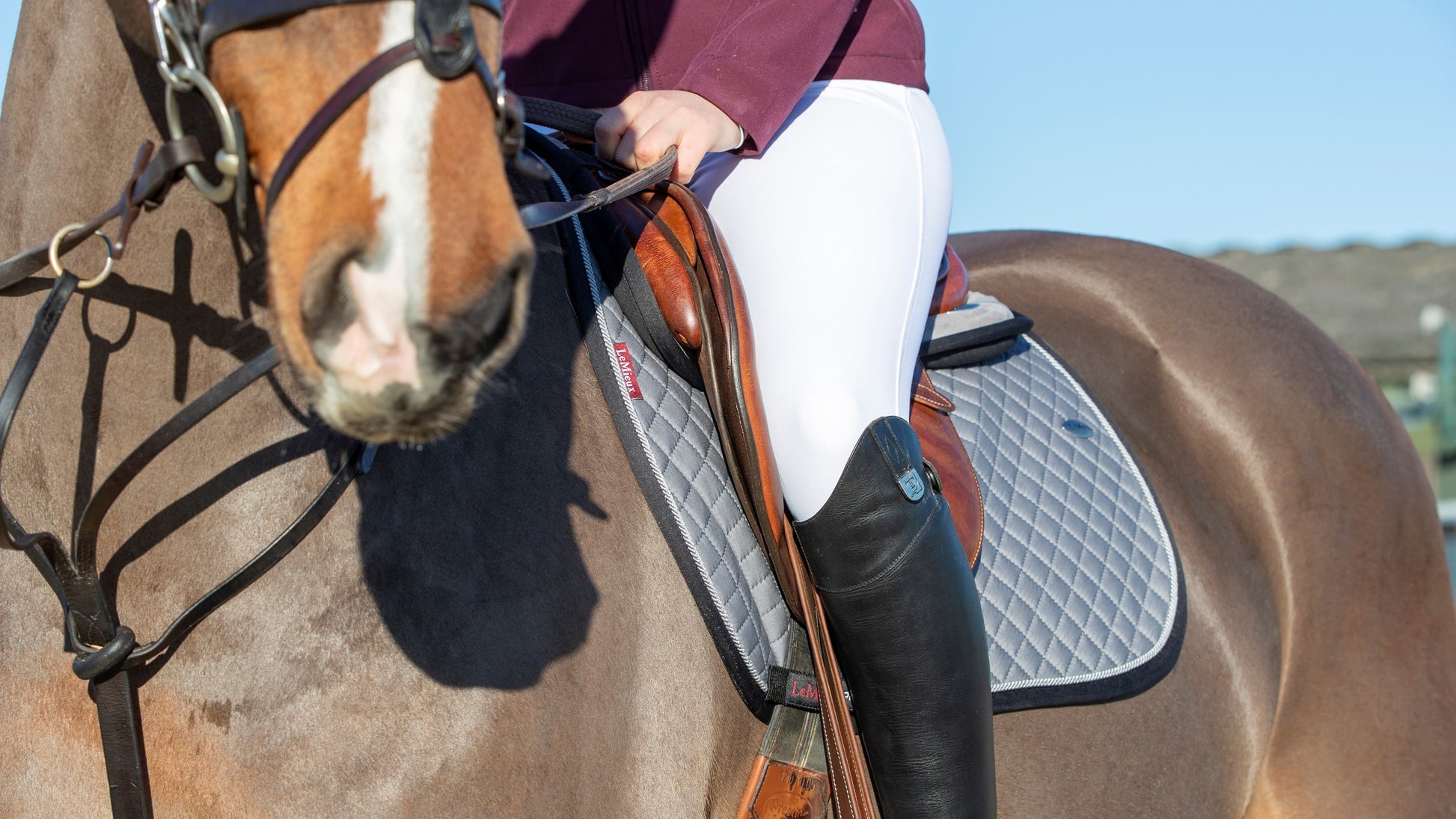 LeMieux Wither Relief Close Contact Saddle Pad-English Saddle Pad-LeMieux-White-Evolution Equestrian Co.