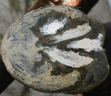 Load image into Gallery viewer, Red Horse Products Artimud-Horse Care-Red Horse Products - UK-300g-Evolution Equestrian Co.
