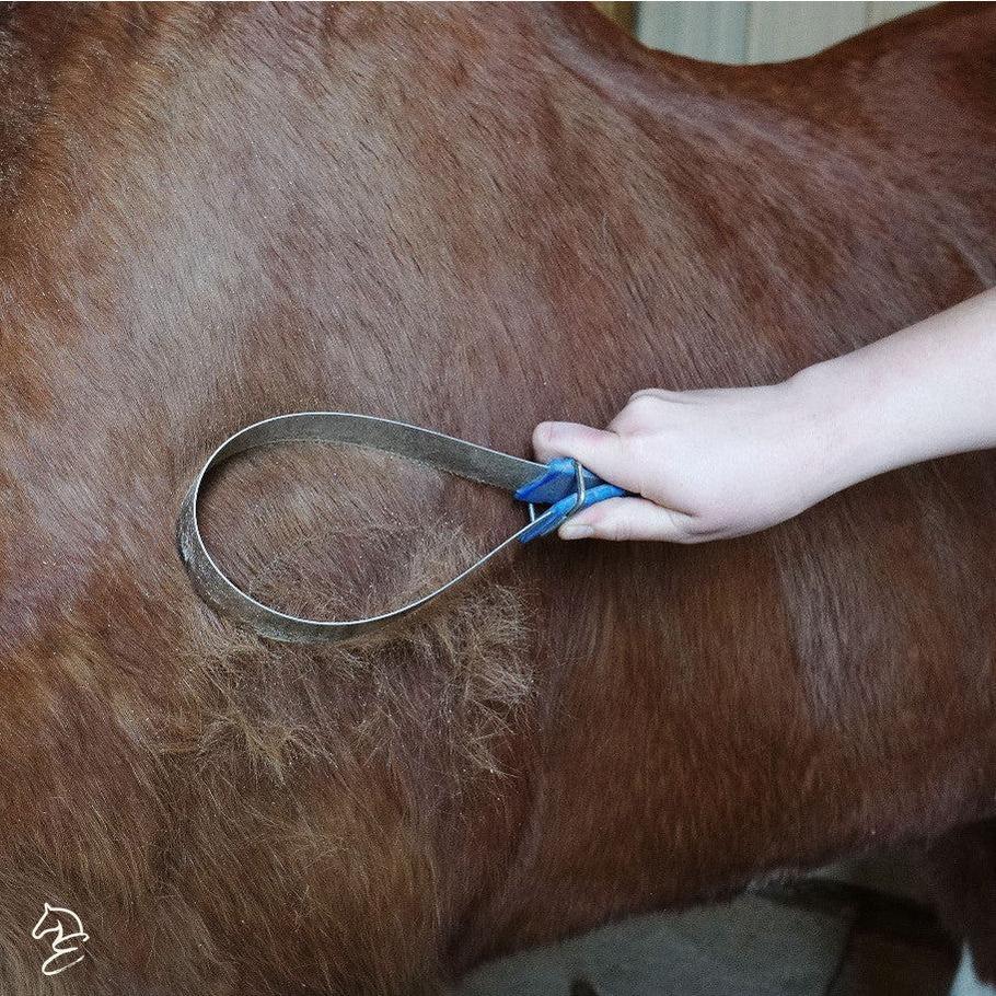 Shedding Blade with Plastic Handle-Horse Brush-Canadian Centurion Supply-Evolution Equestrian Co.