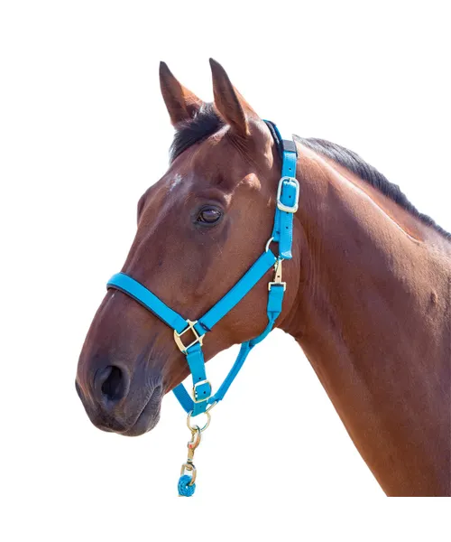 Shires Topaz Breakaway Halter-Halter-Pegasus-Light Blue-XS- Pony-Evolution Equestrian Co.
