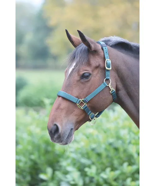 Shires Topaz Breakaway Halter-Halter-Pegasus-Dark Green-XS- Pony-Evolution Equestrian Co.