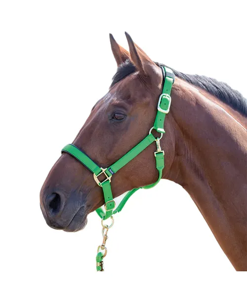 Shires Topaz Breakaway Halter-Halter-Pegasus-Green-XS- Pony-Evolution Equestrian Co.