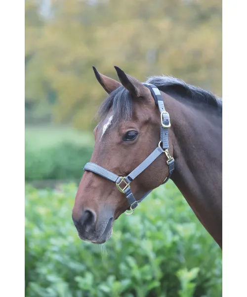 Shires Topaz Breakaway Halter-Halter-Pegasus-Grey-XS- Pony-Evolution Equestrian Co.