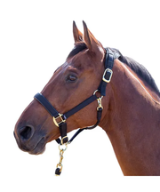 Shires Topaz Breakaway Halter-Halter-Pegasus-Black-XS- Pony-Evolution Equestrian Co.