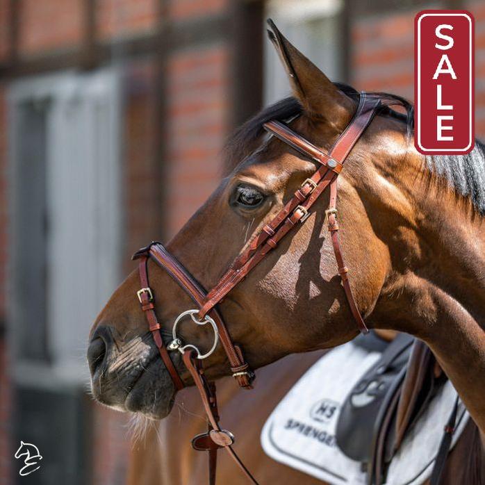 Sprenger Double Jointed Dynamic RS Multi-Ring Bit-Bits-Can Pro Equestrian Supply-125 mm / 5"-Evolution Equestrian Co.