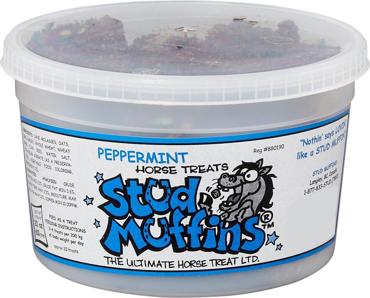 Stud Muffins Horse Treats Peppermint 20oz Bucket-Horse Treats-Stud Muffins-Evolution Equestrian Co.