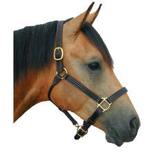 Load image into Gallery viewer, Deluxe 1&quot; Triple Stitched Leather Halter
