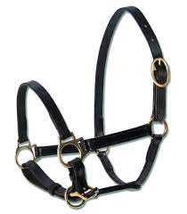 Star Leather Foal Halter
