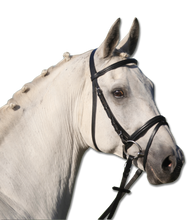 Load image into Gallery viewer, Waldhausen Star Lifestyle Bridle

