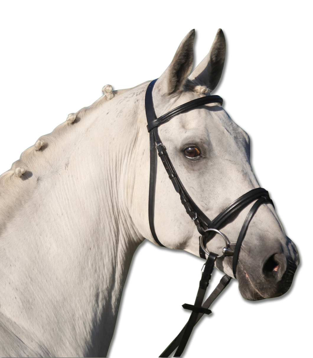 Waldhausen Star Lifestyle Bridle