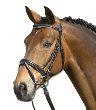 Load image into Gallery viewer, Waldhausen Star Lifestyle Bridle
