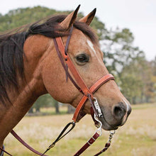 Load image into Gallery viewer, Latigo Leather Harness Overlay Western Noseband
