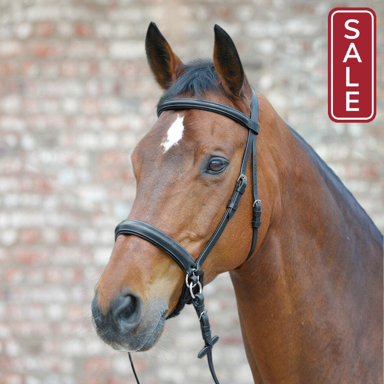 Waldhausen Star Bitless Bridle-Equestrian-Can Pro Equestrian Supply-Pony-Black-Evolution Equestrian Co.